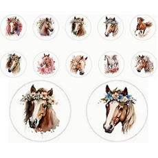 "Horse" Themed Stickers 